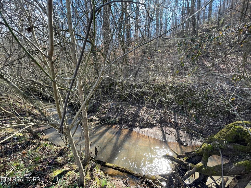 Photo of 26 Burger Branch County Rd 464, Englewood, TN 37329 (MLS # 1291140)