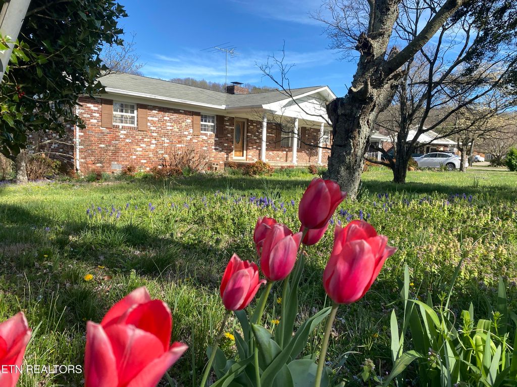 Photo of 415 Barberry Drive, Knoxville, TN 37912 (MLS # 1338971)
