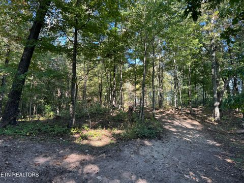 5002 Indian Ridge Rd Blaine TN 37709