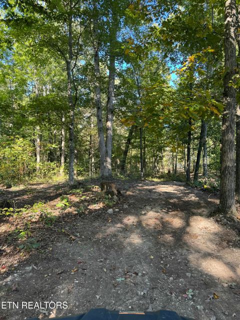 Tiny photo for 641 Indian Ridge Rd, Blaine, TN 37709 (MLS # 1320135)