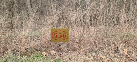 Tiny photo for 1600 New Hope Rd, Rockwood, TN 37854 (MLS # 1328946)