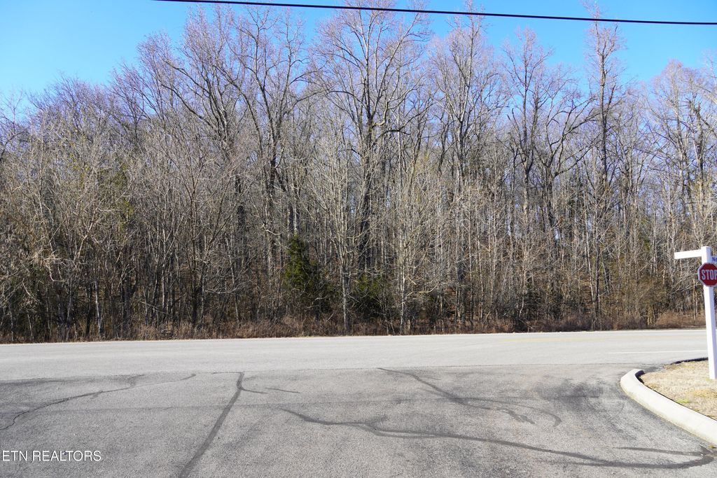 Photo of 1600 New Hope Rd, Rockwood, TN 37854 (MLS # 1328946)