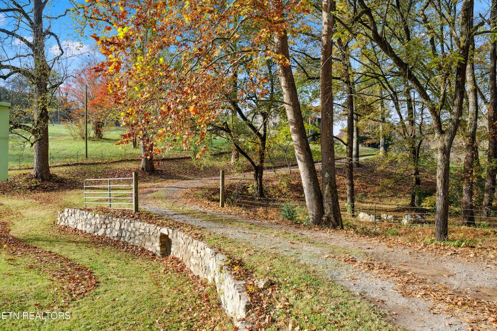 Photo of 7969 Glendale Community Rd, Greenback, TN 37742 (MLS # 1281504)