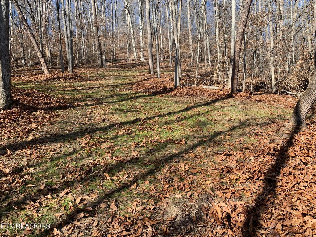 Photo of MOUNTAIN SHORES Rd, New Tazewell, TN 37825 (MLS # 1284872)