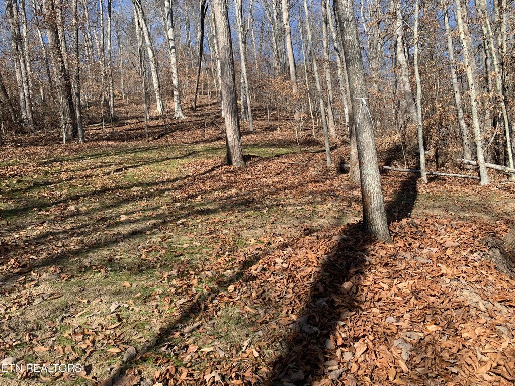 Photo of MOUNTAIN SHORES Rd, New Tazewell, TN 37825 (MLS # 1284872)