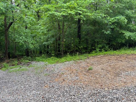 Tiny photo for Lakemont Lane, Caryville, TN 37714 (MLS # 1342142)