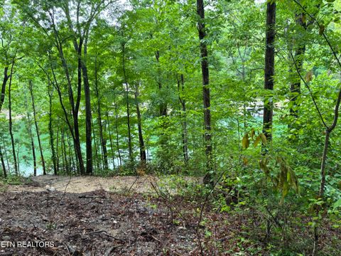 Tiny photo for Lakemont Lane, Caryville, TN 37714 (MLS # 1342142)