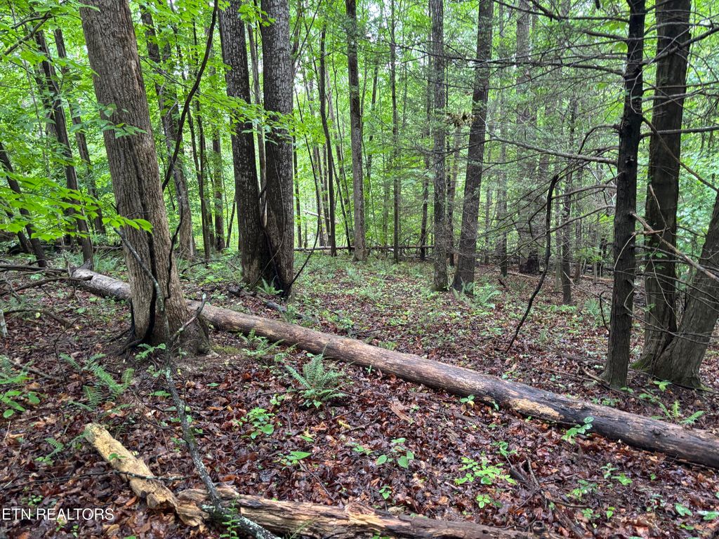 Photo of Lakemont Lane, Caryville, TN 37714 (MLS # 1342142)