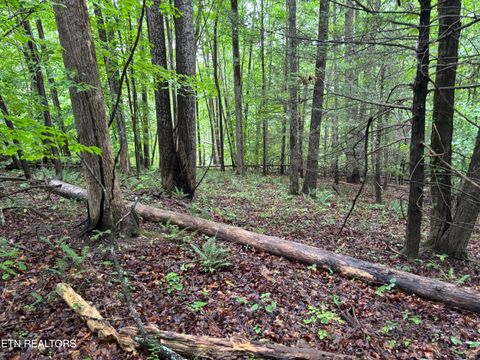 Tiny photo for Lakemont Lane, Caryville, TN 37714 (MLS # 1342142)