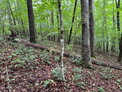 Tiny photo for Lakemont Lane, Caryville, TN 37714 (MLS # 1342142)
