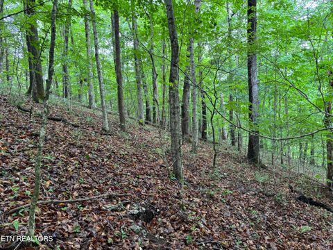 Tiny photo for Lakemont Lane, Caryville, TN 37714 (MLS # 1342142)