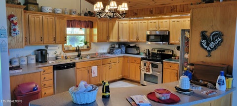 Tiny photo for 151 Rolen Rd, New Tazewell, TN 37825 (MLS # 1344222)