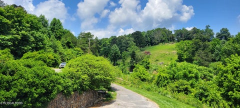 Tiny photo for 151 Rolen Rd, New Tazewell, TN 37825 (MLS # 1344222)