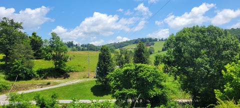 Tiny photo for 151 Rolen Rd, New Tazewell, TN 37825 (MLS # 1344222)