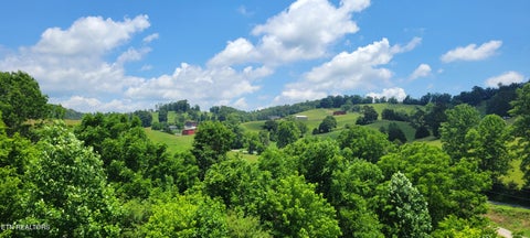 Tiny photo for 151 Rolen Rd, New Tazewell, TN 37825 (MLS # 1344222)