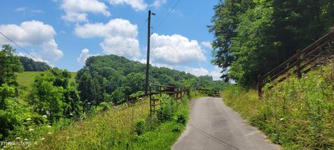 Tiny photo for 151 Rolen Rd, New Tazewell, TN 37825 (MLS # 1344222)