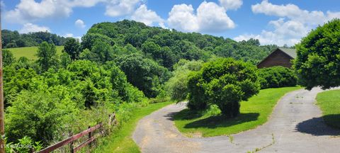 Tiny photo for 151 Rolen Rd, New Tazewell, TN 37825 (MLS # 1344222)