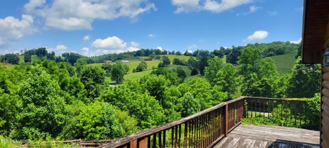 Tiny photo for 151 Rolen Rd, New Tazewell, TN 37825 (MLS # 1344222)