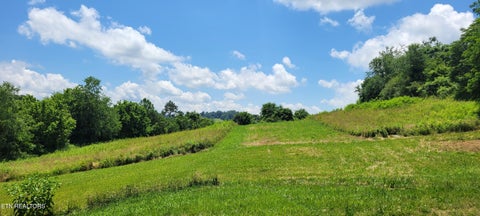 Tiny photo for 151 Rolen Rd, New Tazewell, TN 37825 (MLS # 1344222)