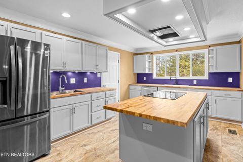 Tiny photo for 6619 Ruby June Lane, Corryton, TN 37721 (MLS # 1324133)