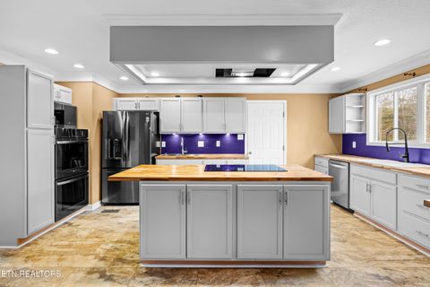 Tiny photo for 6619 Ruby June Lane, Corryton, TN 37721 (MLS # 1324133)