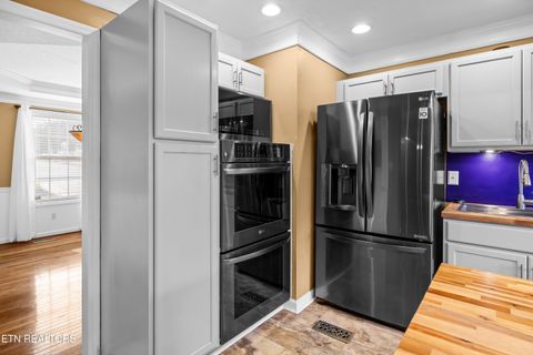 Tiny photo for 6619 Ruby June Lane, Corryton, TN 37721 (MLS # 1324133)