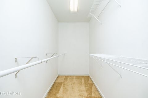 Tiny photo for 6619 Ruby June Lane, Corryton, TN 37721 (MLS # 1324133)