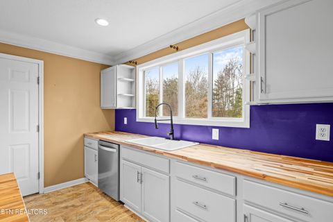 Tiny photo for 6619 Ruby June Lane, Corryton, TN 37721 (MLS # 1324133)