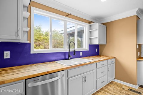 Tiny photo for 6619 Ruby June Lane, Corryton, TN 37721 (MLS # 1324133)