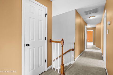 Tiny photo for 6619 Ruby June Lane, Corryton, TN 37721 (MLS # 1324133)