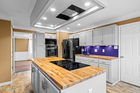 Tiny photo for 6619 Ruby June Lane, Corryton, TN 37721 (MLS # 1324133)