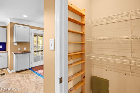 Tiny photo for 6619 Ruby June Lane, Corryton, TN 37721 (MLS # 1324133)