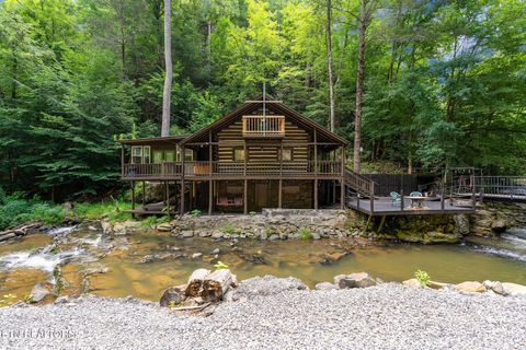 Tiny photo for 2171 Wears Valley Rd, Sevierville, TN 37862 (MLS # 1348952)