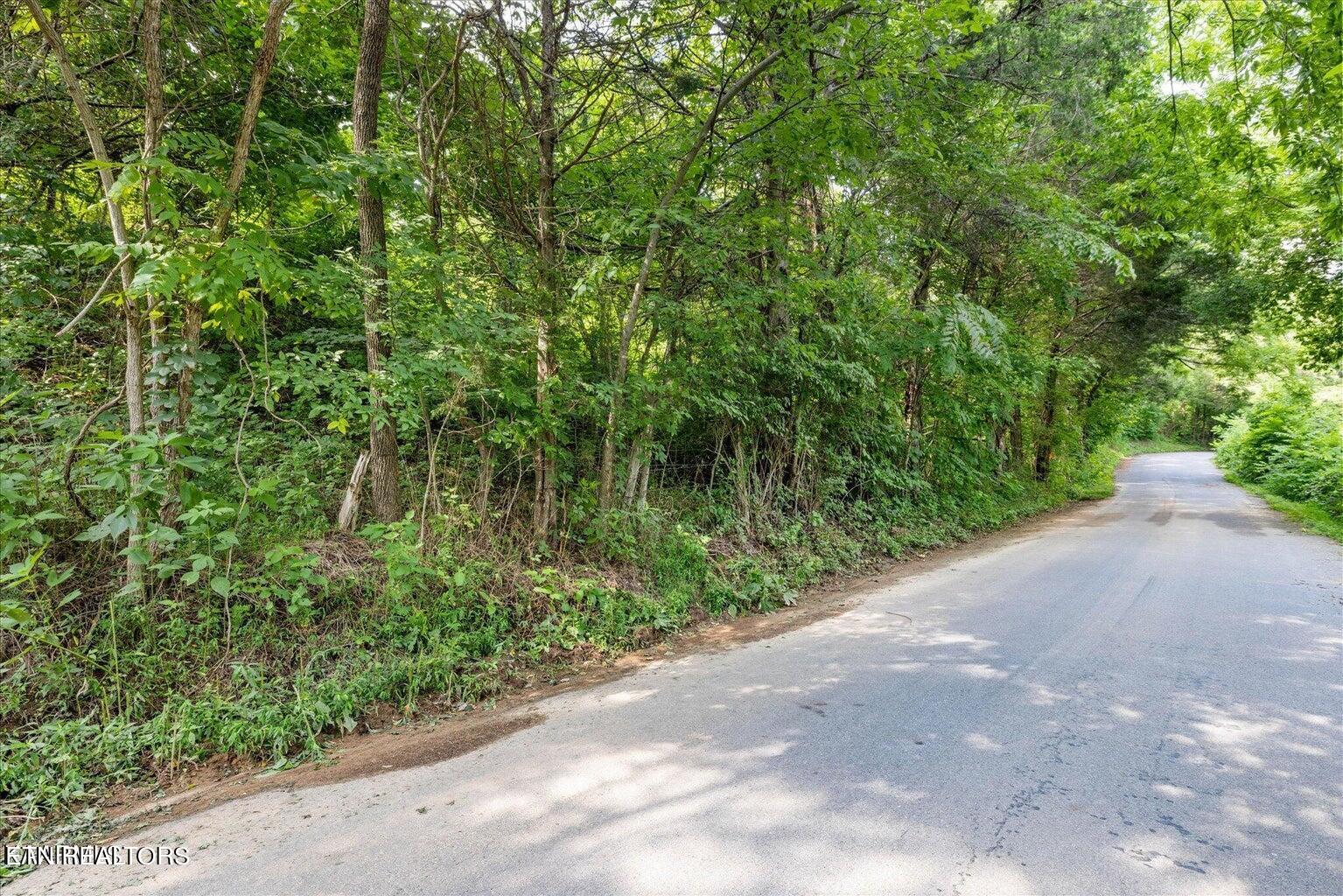 3203 Nuns Cove Road
