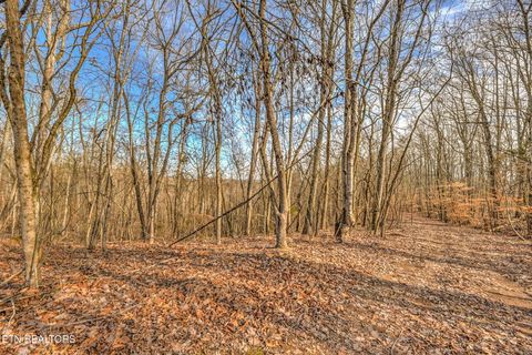 Tiny photo for 470 Clara Mae Drive, Rockwood, TN 37854 (MLS # 1325035)