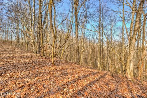 Tiny photo for 470 Clara Mae Drive, Rockwood, TN 37854 (MLS # 1325035)