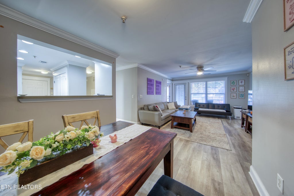 Photo of 3934 Cherokee Woods Way #203, Knoxville, TN 37920 (MLS # 1359011)
