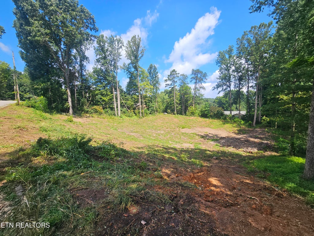 Photo of 10004 Sugar Pine Court, Powell, TN 37849 (MLS # 1353083)