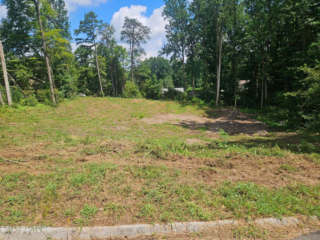Photo of 10004 Sugar Pine Court, Powell, TN 37849 (MLS # 1353083)