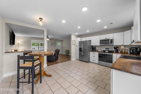 Tiny photo for 415 McGhee Lane, Jacksboro, TN 37757 (MLS # 1340567)