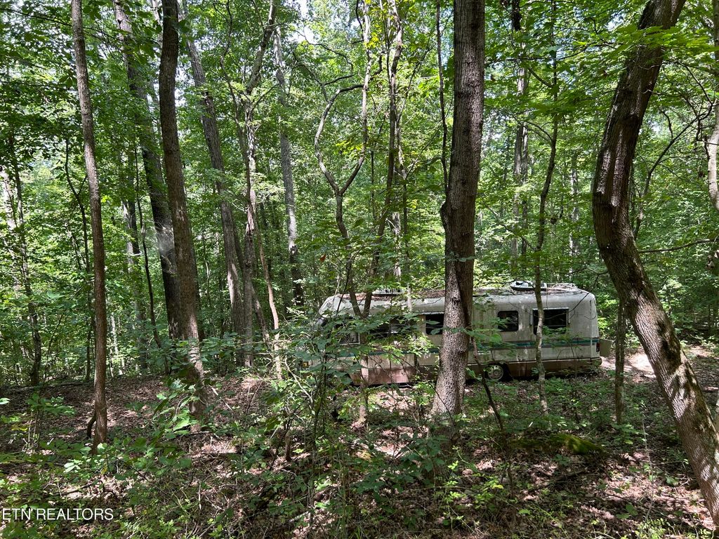 Photo of Meandering Lot 3 Circle, Maynardville, TN 37807 (MLS # 1273609)