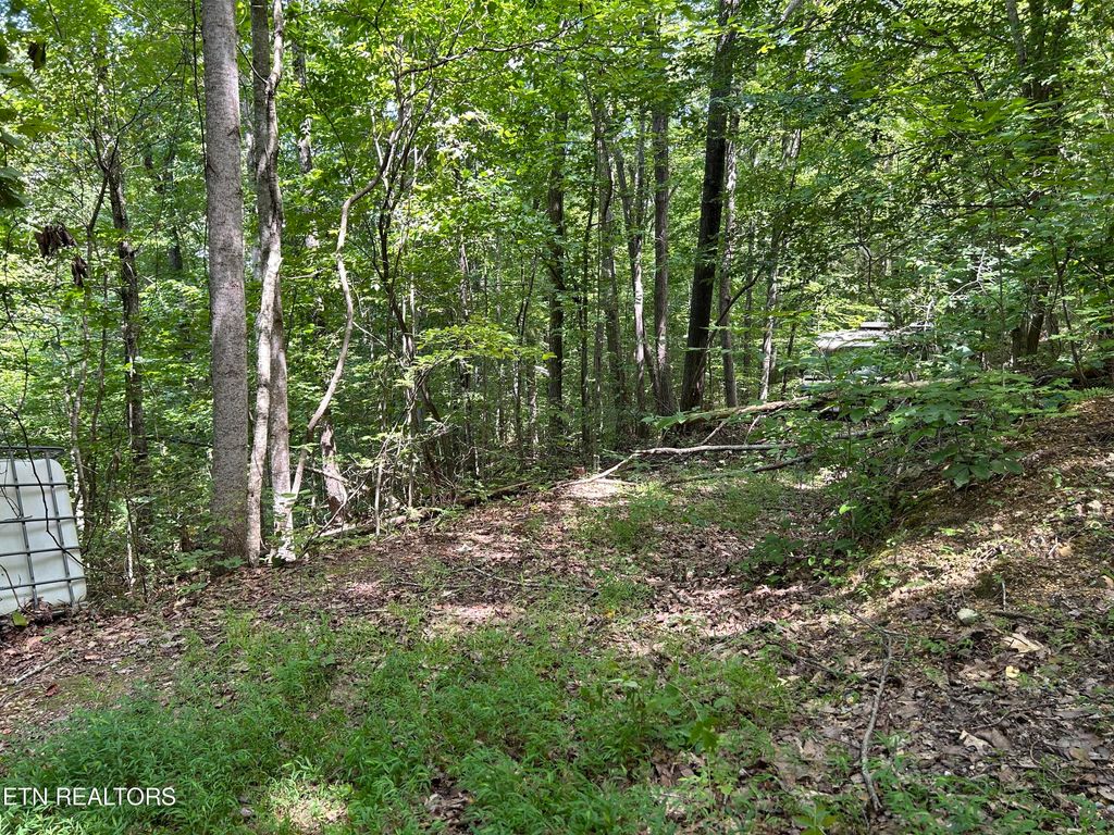 Photo of Meandering Lot 3 Circle, Maynardville, TN 37807 (MLS # 1273609)
