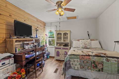 Tiny photo for 3621 Leadvale Road Rd, White Pine, TN 37890 (MLS # 1332727)