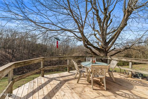 Tiny photo for 3621 Leadvale Road Rd, White Pine, TN 37890 (MLS # 1332727)