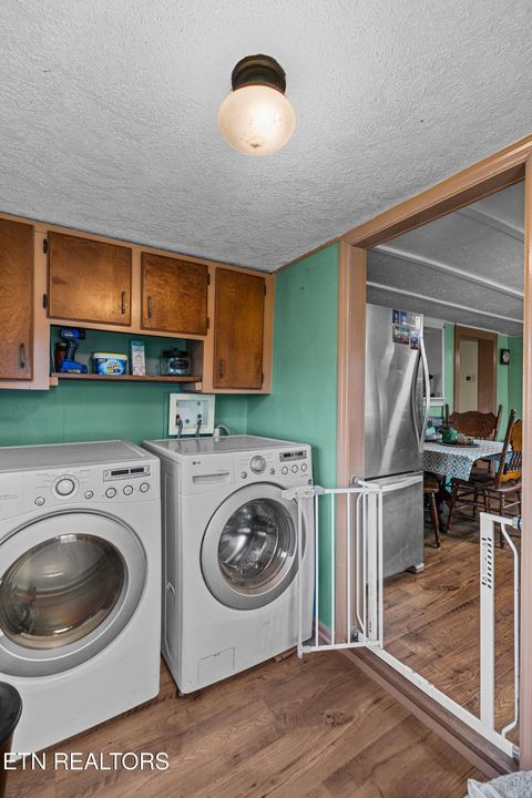 Tiny photo for 3621 Leadvale Road Rd, White Pine, TN 37890 (MLS # 1332727)