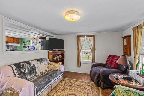 Tiny photo for 3621 Leadvale Road Rd, White Pine, TN 37890 (MLS # 1332727)