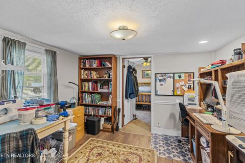 Tiny photo for 3621 Leadvale Road Rd, White Pine, TN 37890 (MLS # 1332727)