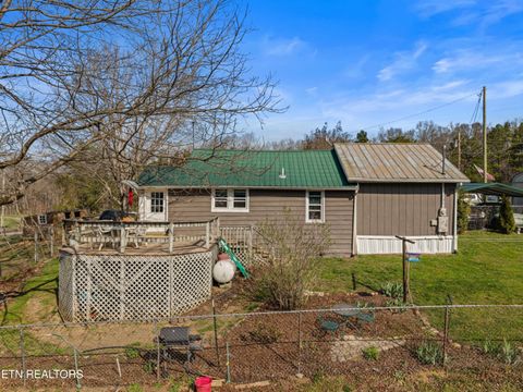Tiny photo for 3621 Leadvale Road Rd, White Pine, TN 37890 (MLS # 1332727)