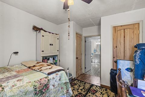 Tiny photo for 3621 Leadvale Road Rd, White Pine, TN 37890 (MLS # 1332727)