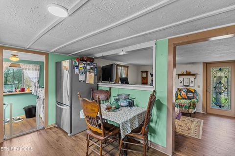 Tiny photo for 3621 Leadvale Road Rd, White Pine, TN 37890 (MLS # 1332727)